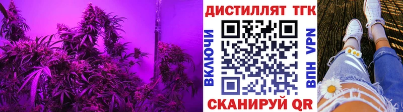 Дистиллят ТГК концентрат Лахденпохья