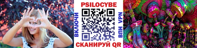 Купить где  Лахденпохья  Псилоцибиновые грибы Psilocybe 